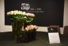 Celebración del 50 aniversario de B&amp;amp;B Italia