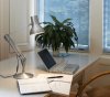 Anglepoise, Type 75 Mini Desk Lamp