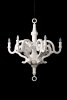 Moooi, Paper Chandelier L