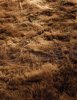 Alps, Minotti, nuevo acabado piel de oveja