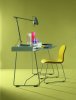 Cappellini, Loop