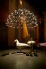 Moooi, Raimond Dome 79