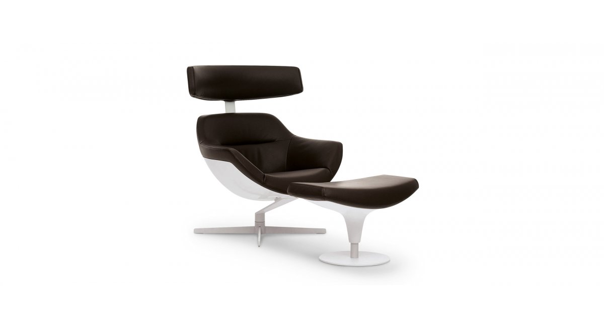Cassina, 277 Auckland