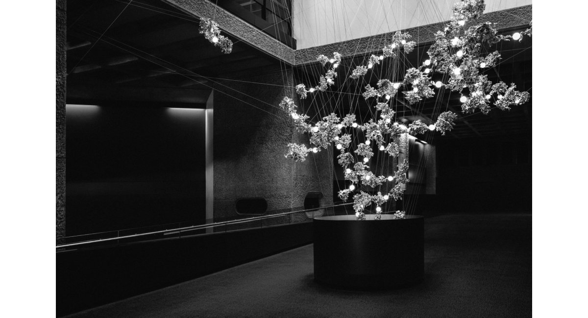 44_Bocci_Minim Barcelona Madrid