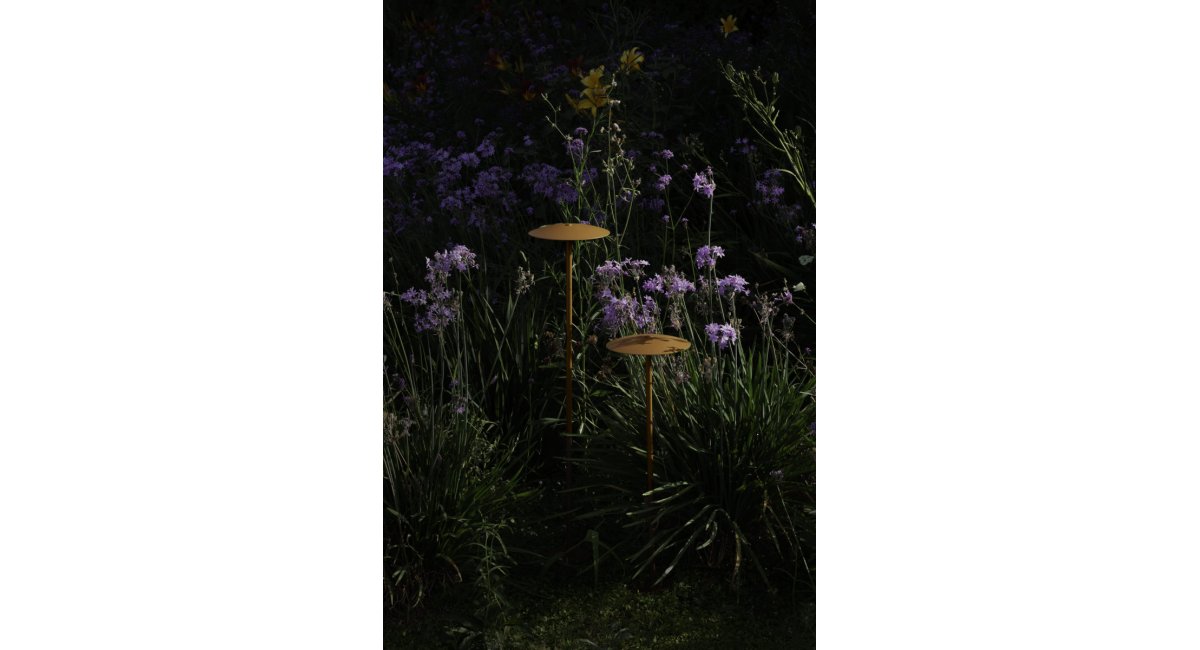 GINGER PIE - JOAN GASPAR - MARSET - MINIM - lifestyle