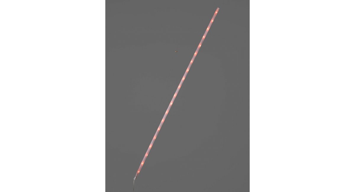 LaColilla_SantaCole Minim Barcelona Madrid