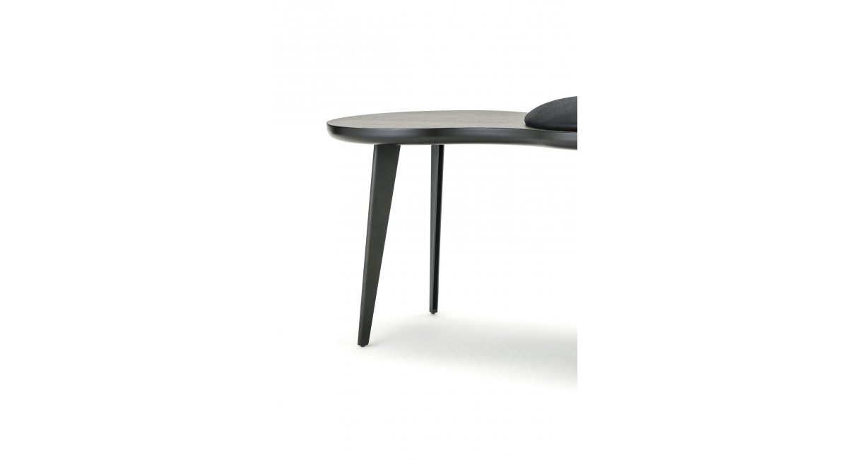 Living Divani, Imago