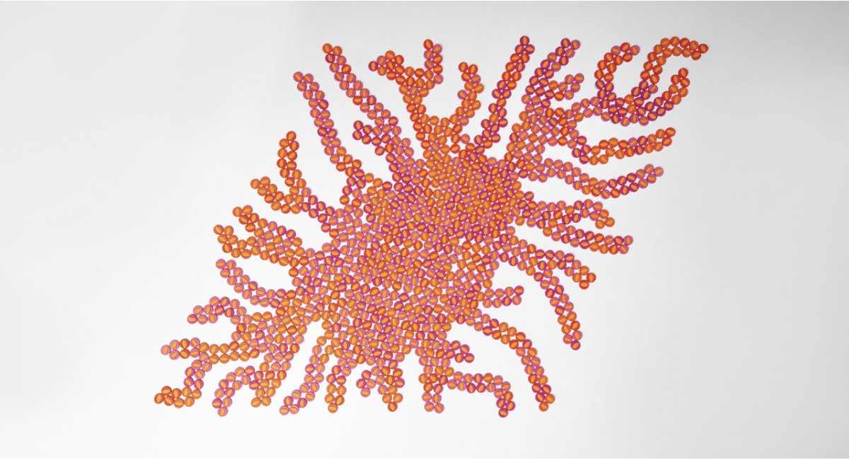 METAMORFOSI MORPHO_banco_Paola Lenti_MINIM