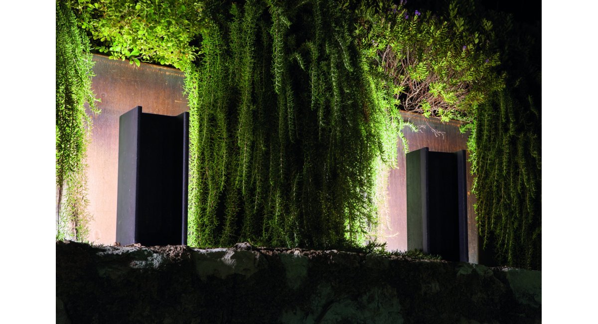 Mais plus que cela je ne peux pas, Nemo