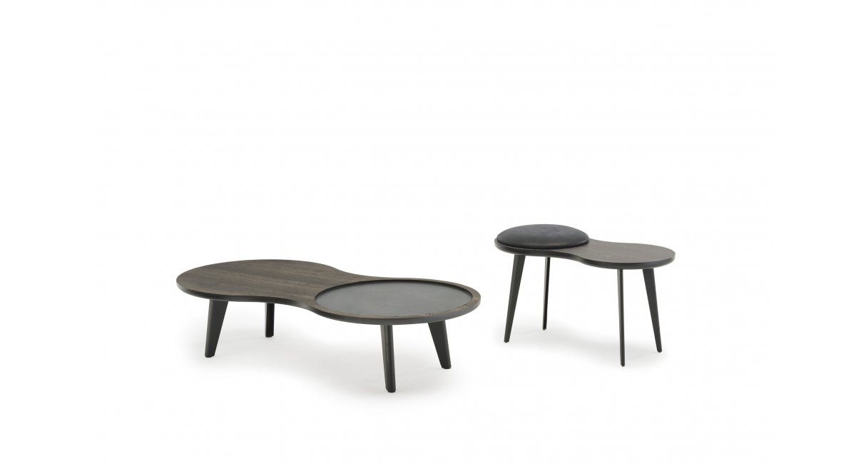 Living Divani, Imago