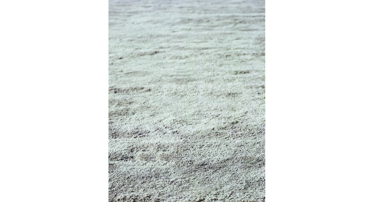 Minotti, Matt Dibbets