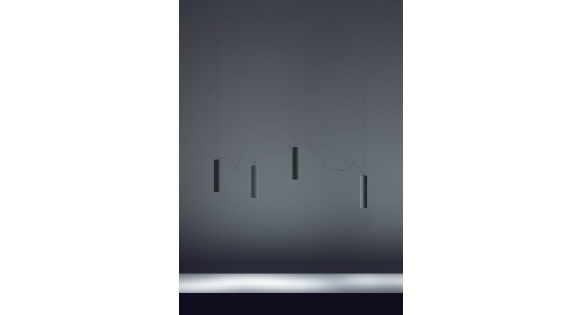 Davide Groppi, Simbiosi