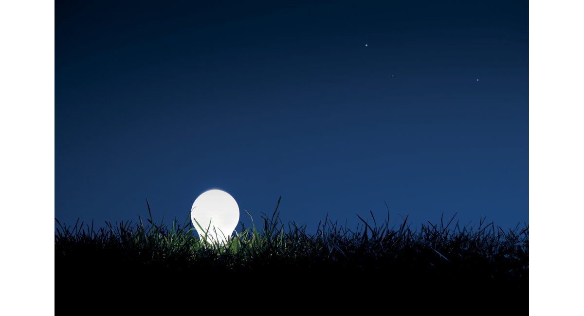 Davide Groppi, Blumen