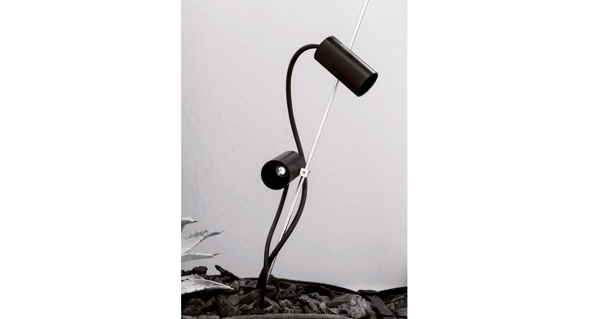 Davide Groppi, Cicala