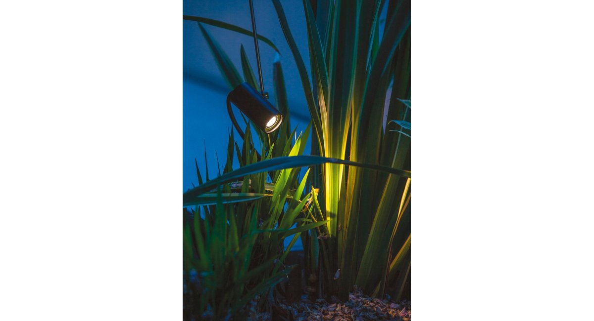 Davide Groppi, Grillo