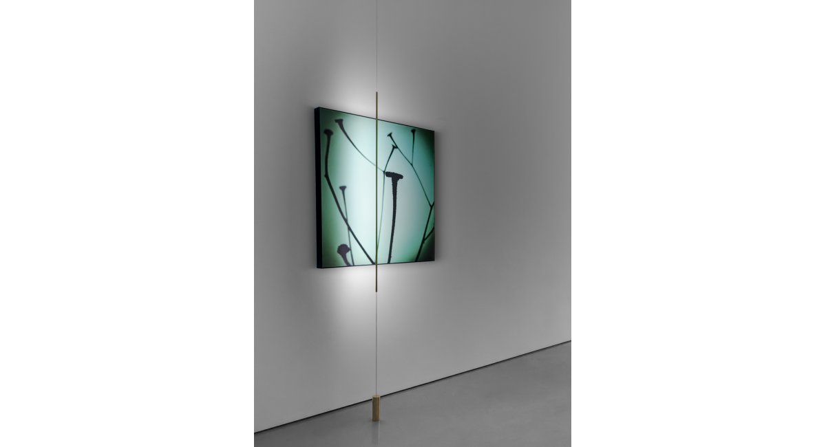 Davide Groppi, Masai