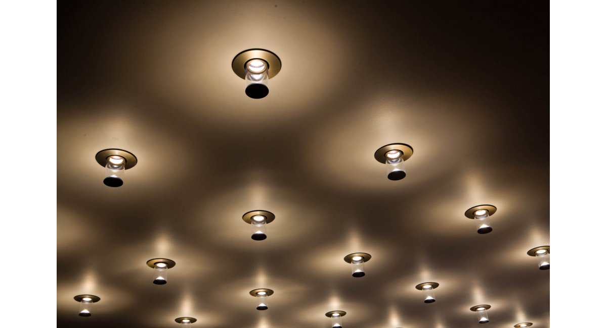 Viabizzuno, Royal incasso