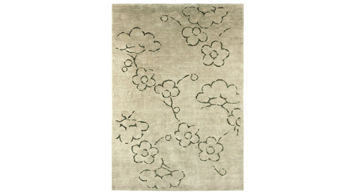 Kristiina Lassus, Okoa