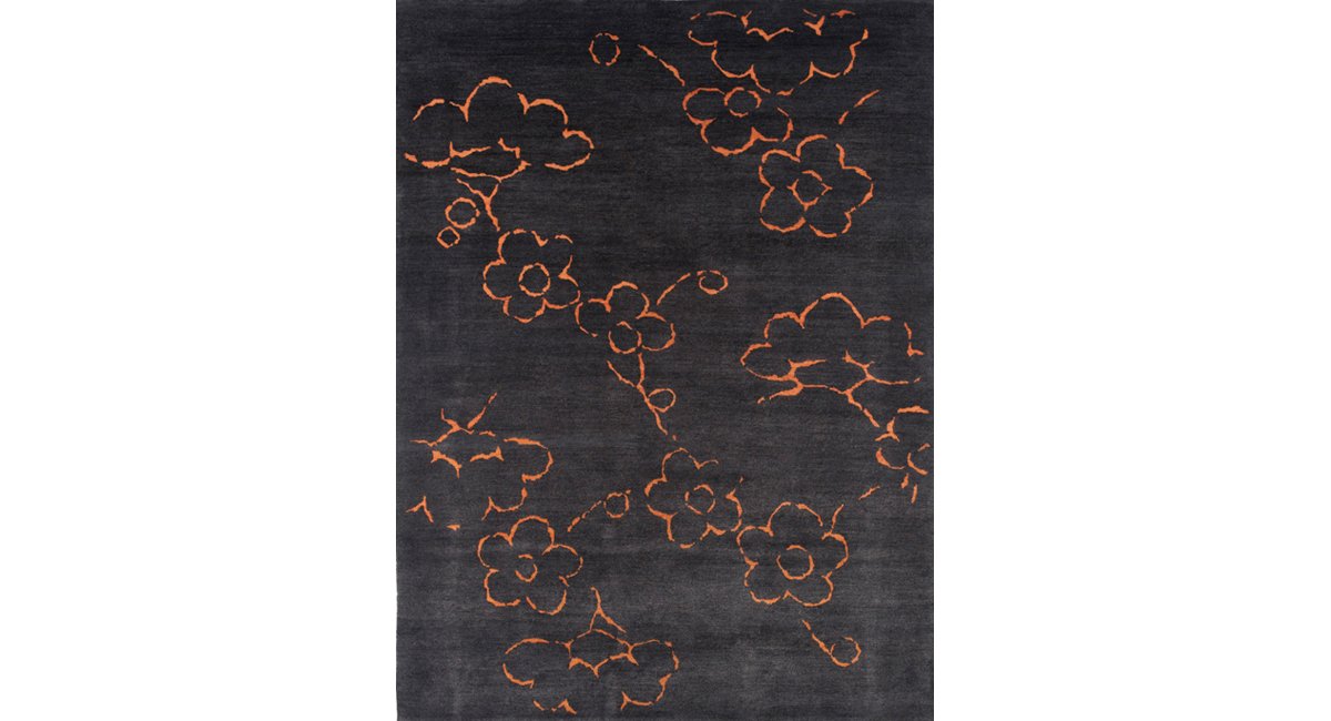 Kristiina Lassus, Okoa