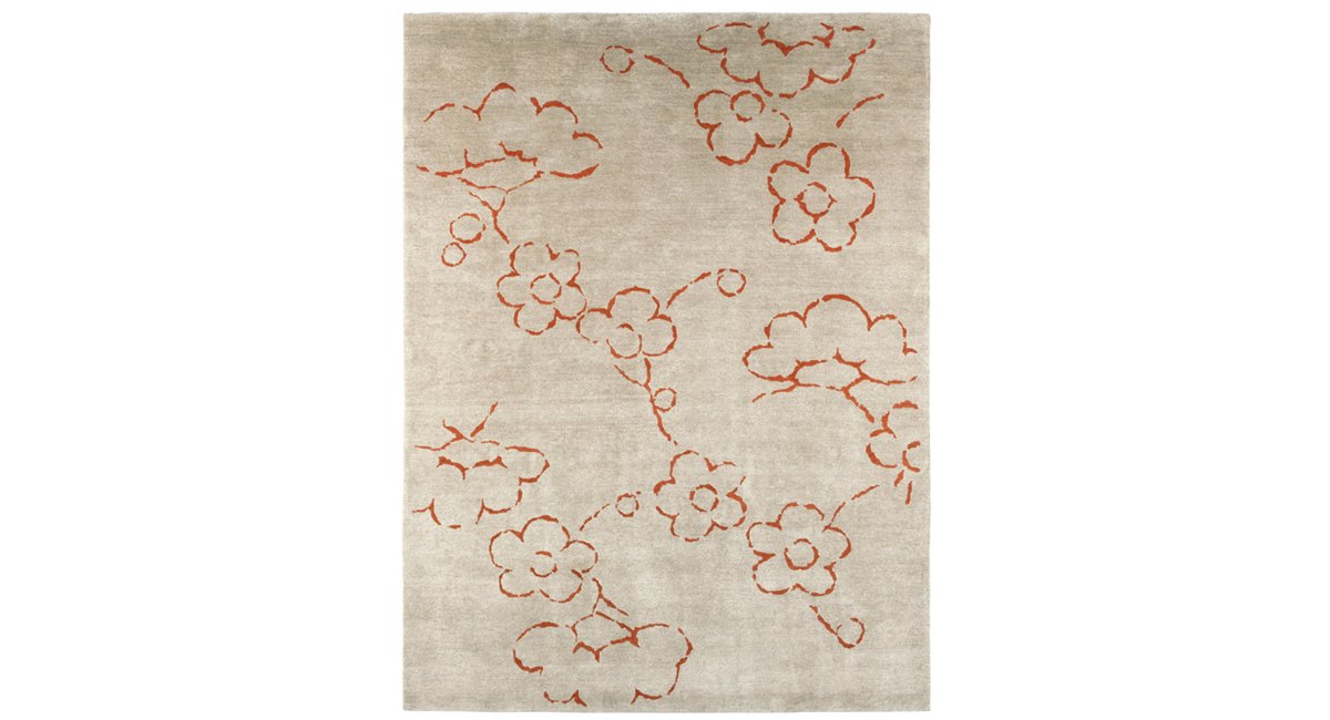 Kristiina Lassus, Okoa