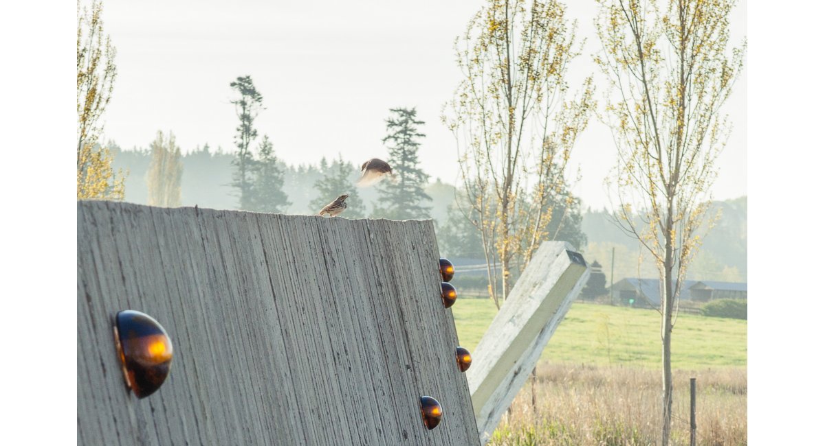 Surface Mount - lámpara de exterior - lámpara de pared - Bocci - MINIM