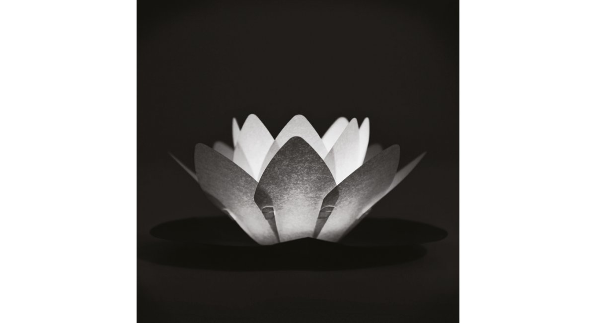 Viabizzuno-Ninfea-MarcelloChiarenza2009-MINIMShowroom