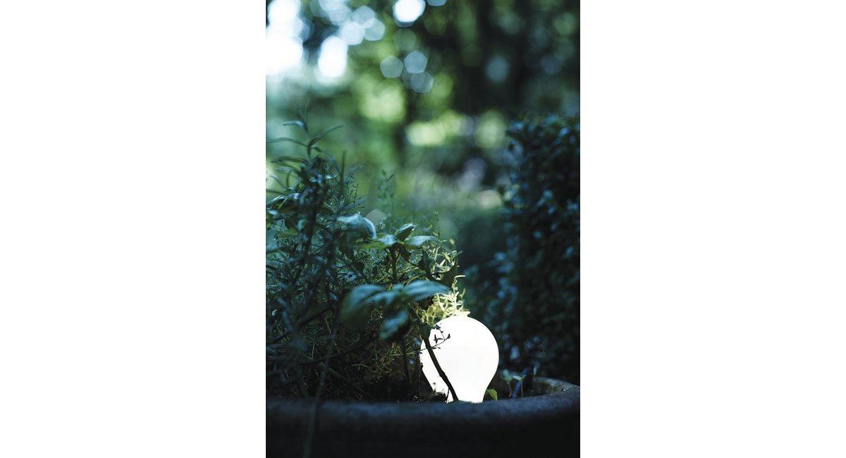 Davide Groppi, Blumen