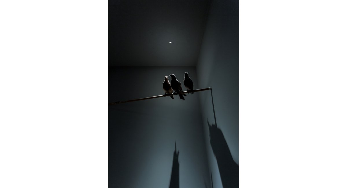 Davide Groppi, Nulla