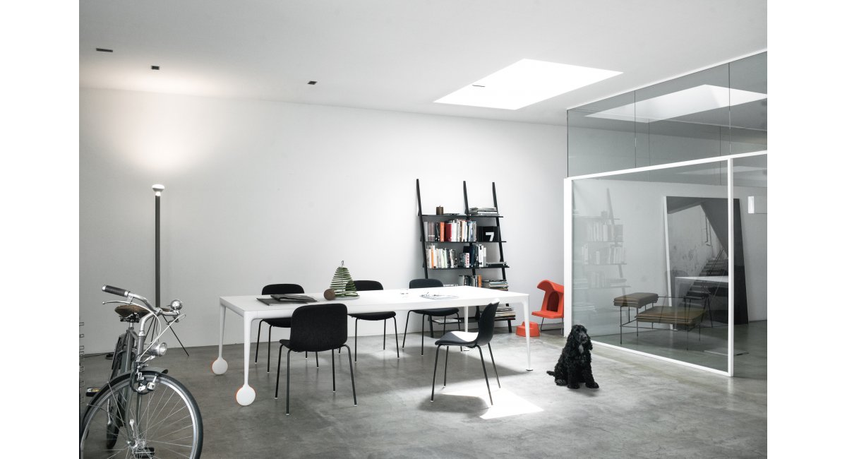 Magis, Tyke the wild Bunch