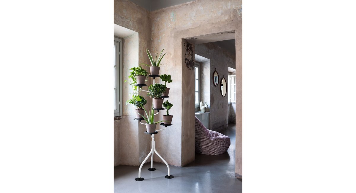 Albero Zanotta MINIM Barcelona