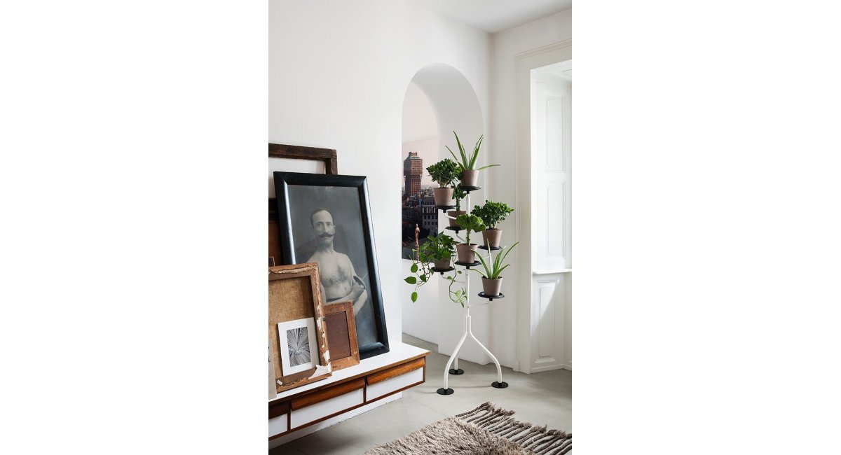 Albero Zanotta MINIM Barcelona