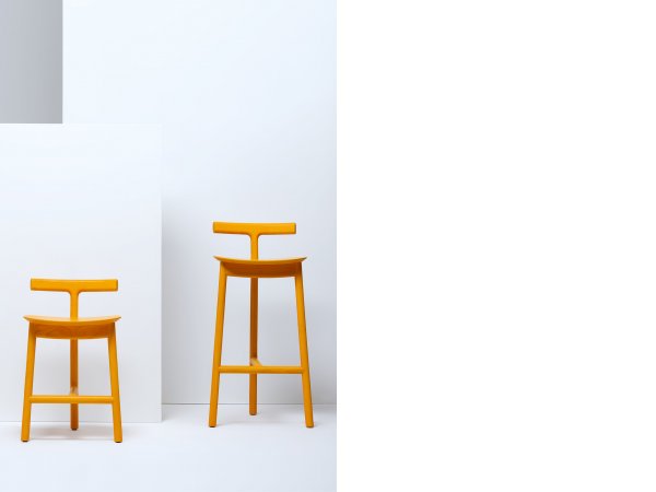 Mattiazzi, Radice