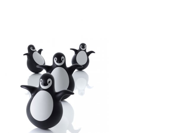 Magis, Pingy