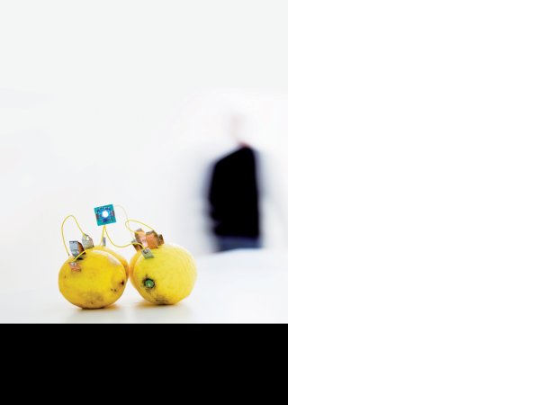 Davide Groppi, Lemon